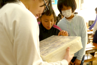 木之本小学校