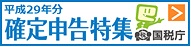平成29年分確定申告
