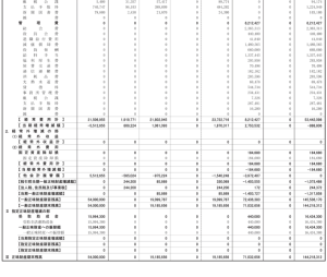 正味財産増減計算書内訳表
