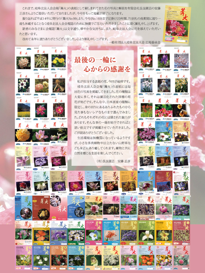 最後の一輪に心からの感謝を
