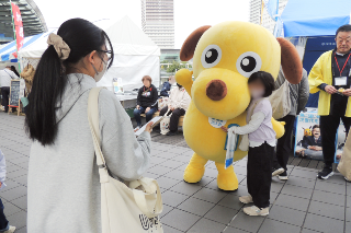 ぎふ信長まつり